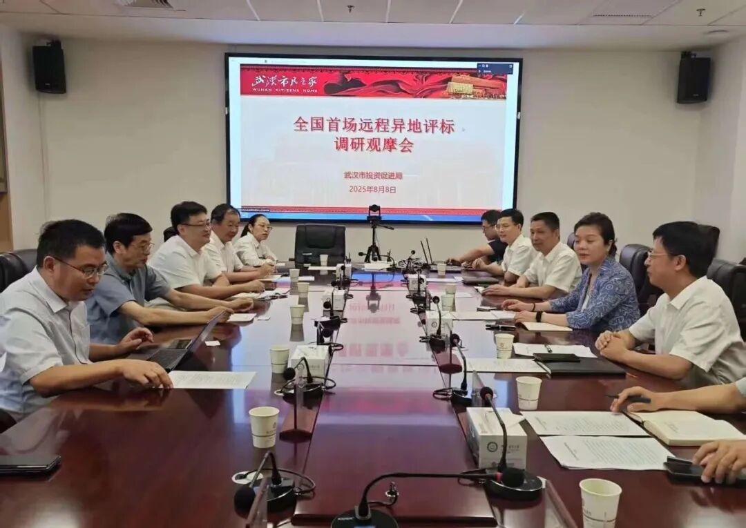遠(yuǎn)程異地評(píng)標(biāo)，湖北首例執(zhí)行、首個(gè)“點(diǎn)亮”
